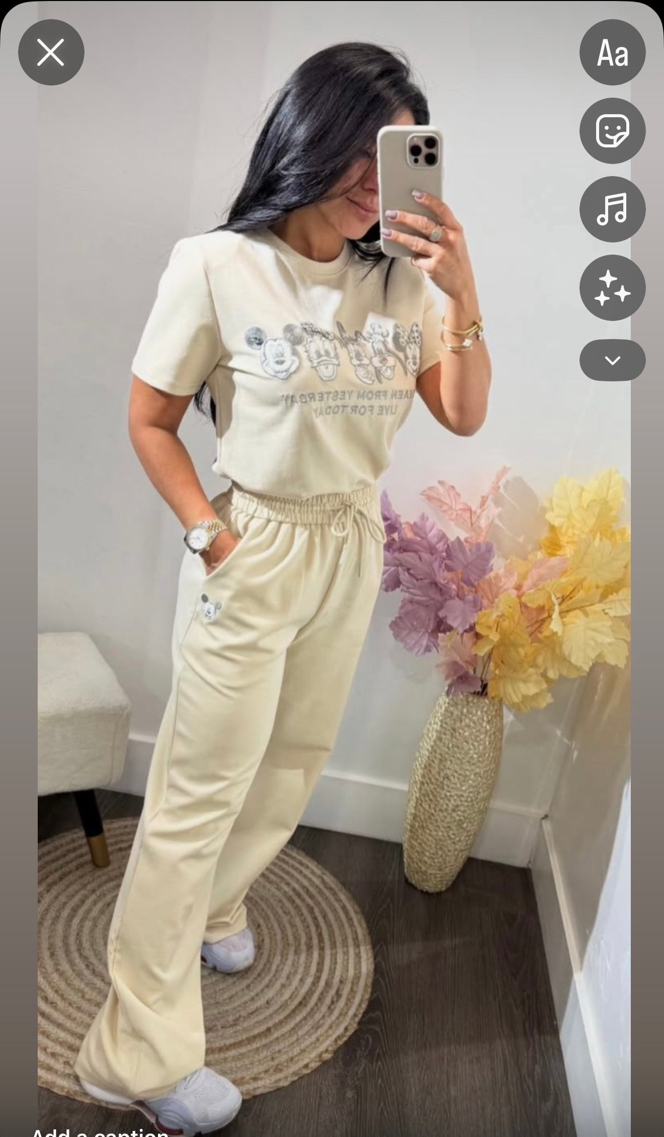 Dianey set