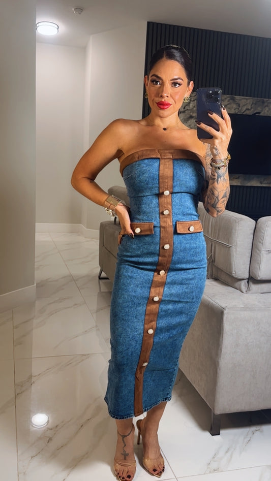 Fabiola Denim Dress